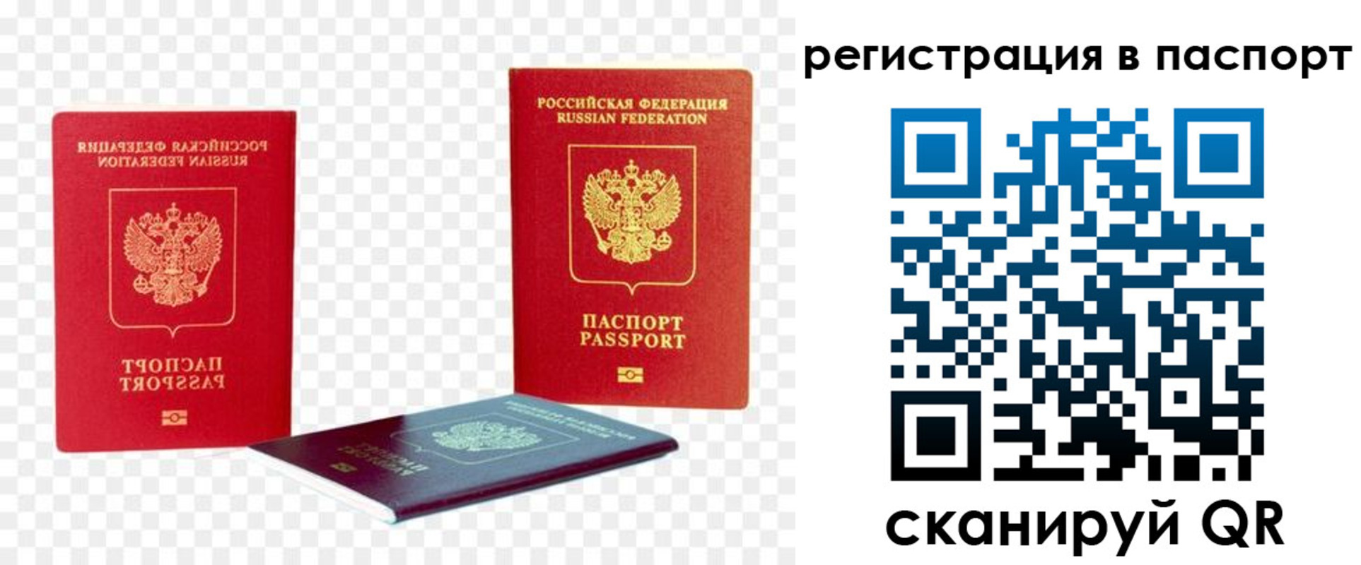 временная регистрация поиск в Солнечногорске